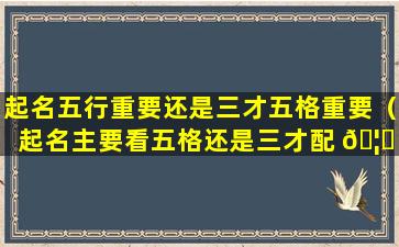 起名五行重要还是三才五格重要（起名主要看五格还是三才配 🦉 置哪个更重要）